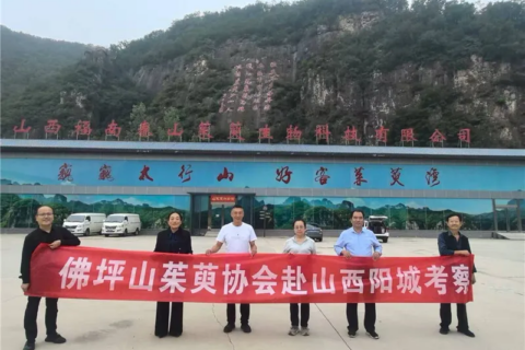 李茂武 | 更把茱萸仔細看——佛坪縣山茱萸協會赴山西陽城交流記